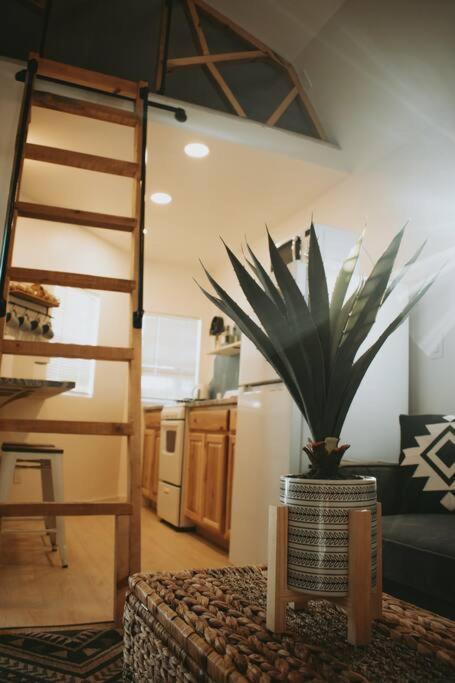Agave Tiny House At Cactus Flower-Hot Tub-Pet Friendly-No Pet Fees! Albuquerque Exteriör bild