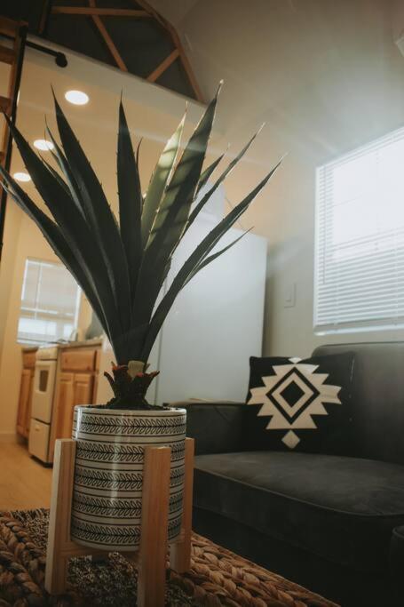 Agave Tiny House At Cactus Flower-Hot Tub-Pet Friendly-No Pet Fees! Albuquerque Exteriör bild